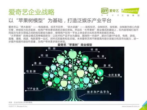 2017年中國網絡自制內容行業研究報告 數字內容制作服務的崛起與變革